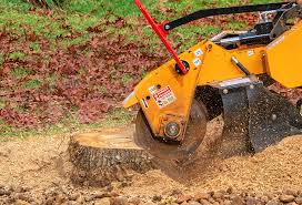 Best Lawn Drainage Solutions  in Masonville, KY