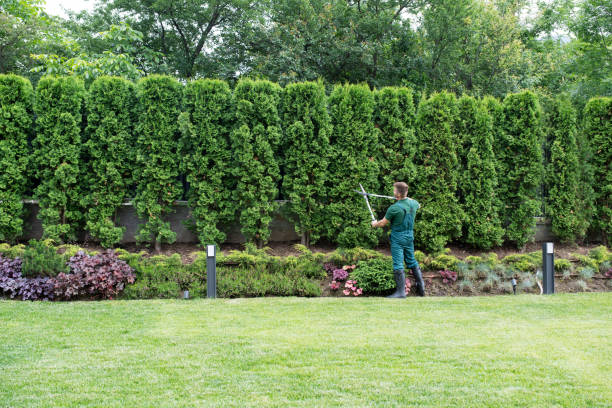 Best Seasonal Cleanup (Spring/Fall)  in Masonville, KY