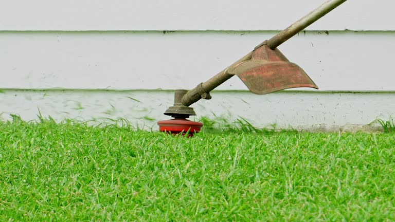 Soil Testing and Treatment in Masonville, KY